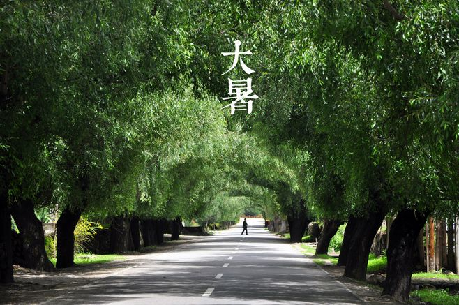 大暑丨葡園消煩暑，夢(mèng)涼天地寬