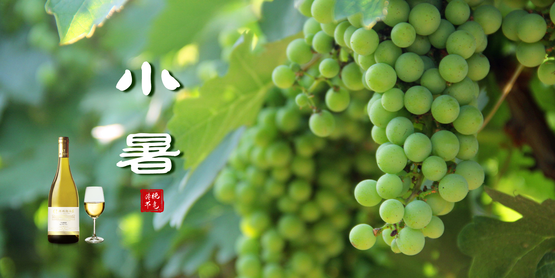 小暑，消暑，你選哪一個(gè)？