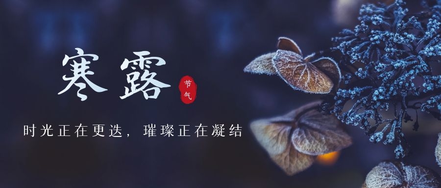 寒露 ▎時(shí)光更迭，璀璨正在凝結(jié)~