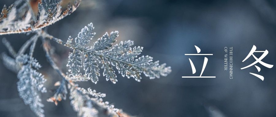 立冬 ▎朔風(fēng)始起，萬物境藏