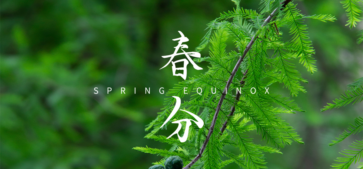 春分 ▎不負(fù)春光，萬(wàn)物生長(zhǎng)