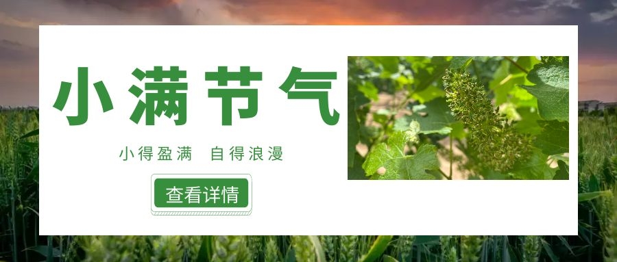 小滿 ▎小得盈滿，自得浪漫~