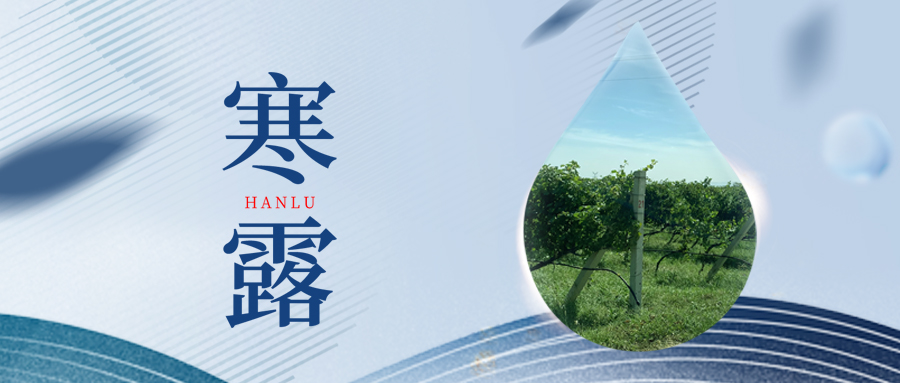 寒露丨夜露凝寒，萬物皆秋