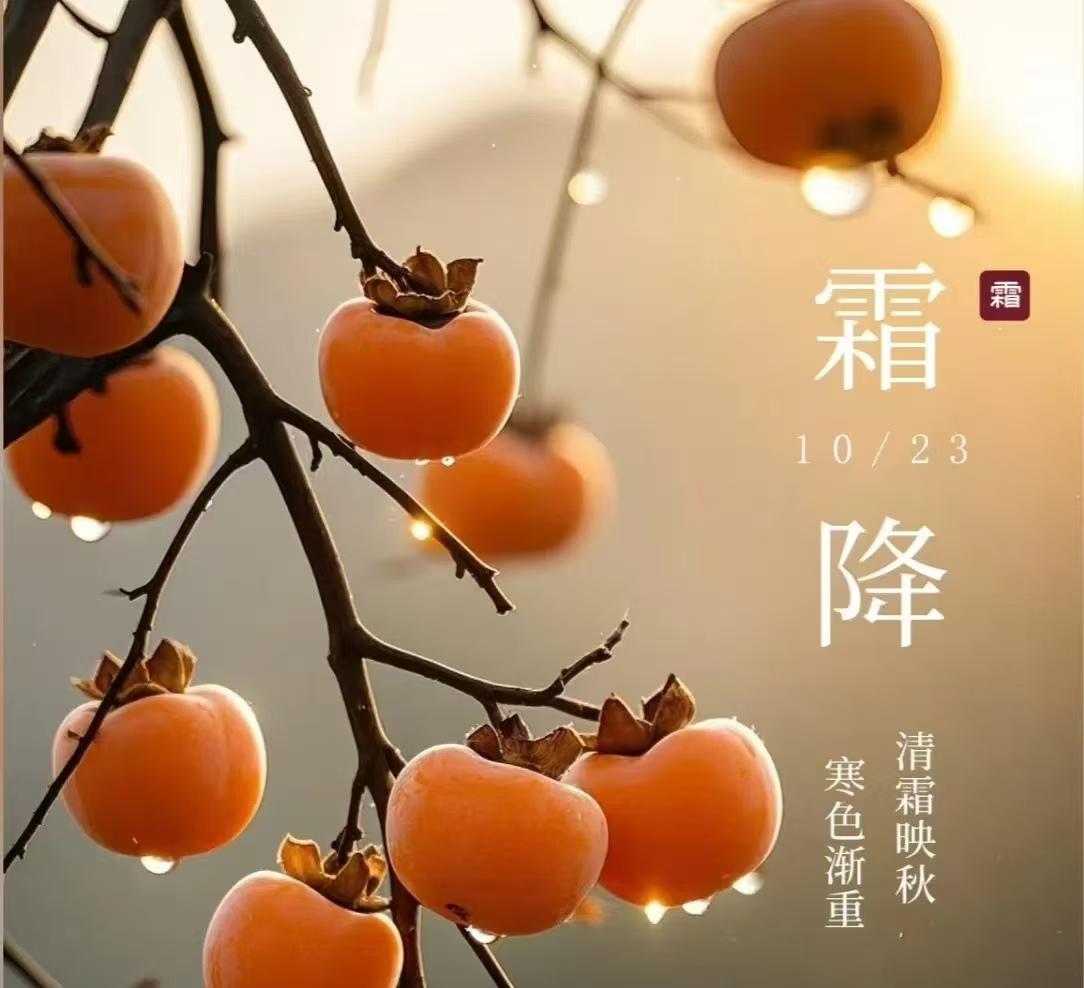 霜降||人間至此秋色盡，草木搖落露為霜