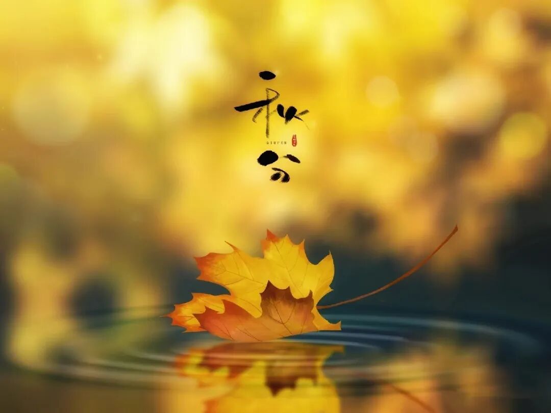 秋分，在格瑞特莊園與時(shí)光對(duì)飲